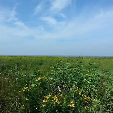 Appartement Haus Morgenstern